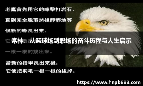 bsports登录入口